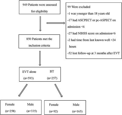 No sex difference was found in the safety and efficacy of intravenous alteplase before endovascular therapy